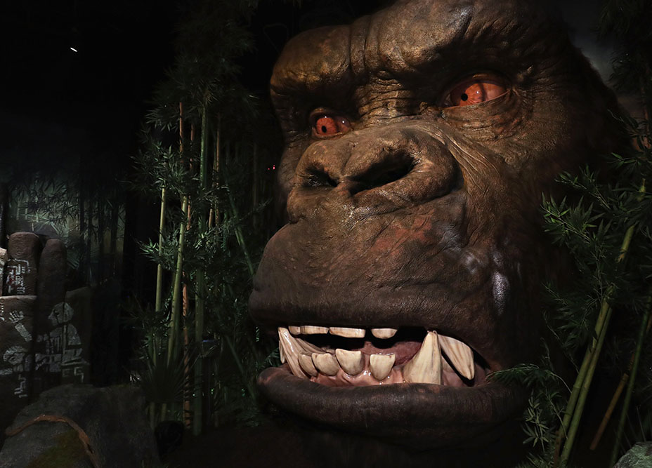 ��� ��������� � ����� �� ����� ����